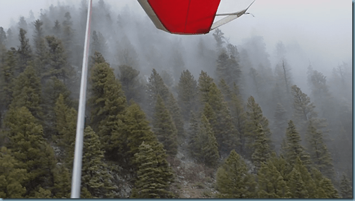 tree fog rolling up Sangres2