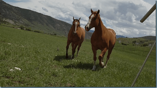 Teva Games, Lookout flight w. Price Cocoon