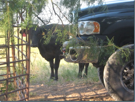 Texas July Visit 003