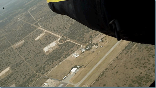 Mexican Eagle over Zapata